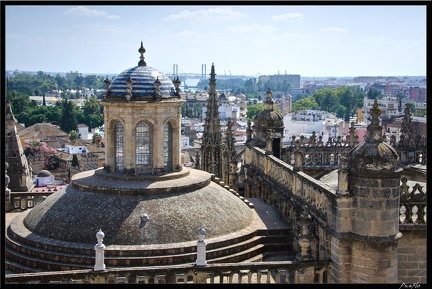 Seville 09 Quartier cathedrale 069