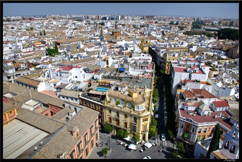 Seville_09_Quartier_cathedrale_079.jpg