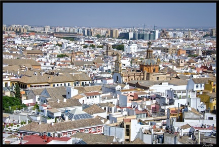 Seville 09 Quartier cathedrale 080