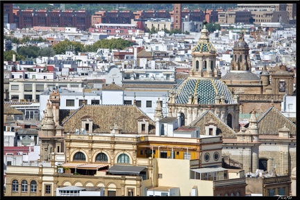 Seville 09 Quartier cathedrale 085