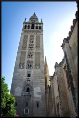 Seville 09 Quartier cathedrale 087