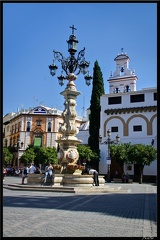 Seville 09 Quartier cathedrale 089