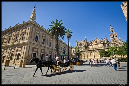 Seville 09 Quartier cathedrale 117