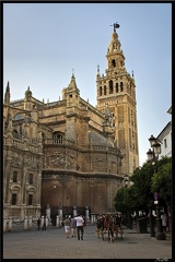 Seville 09 Quartier cathedrale 120