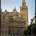 Seville 09 Quartier cathedrale 120