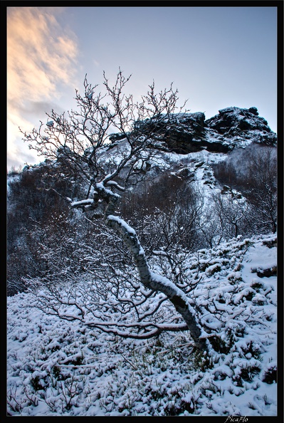 Islande 03 Thorsmork 006