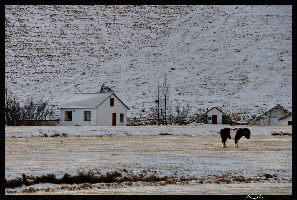 Islande 04 Skogafoss 006