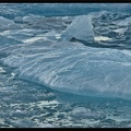 Islande 05 Skaftafell 046