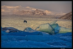 Islande 05 Skaftafell 054