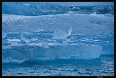 Islande 05 Skaftafell 057