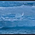 Islande 05 Skaftafell 057