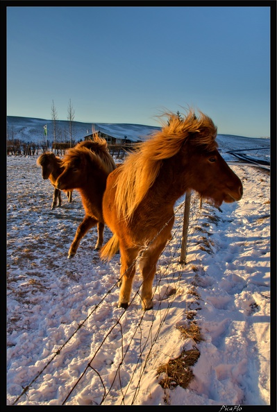 Islande_07_Skaftafell_042.jpg