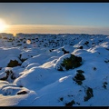 Islande 07 Skaftafell 045