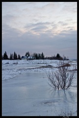 Islande 13 Thingvellir 020