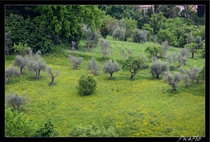 01 Florence Giordino Boboli 11