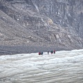 Canada 11 Glacier Athabasca 17