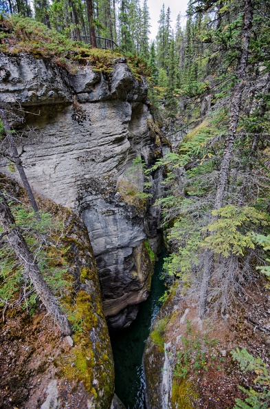 Canada_17_Maligne_Canyon_08.jpg