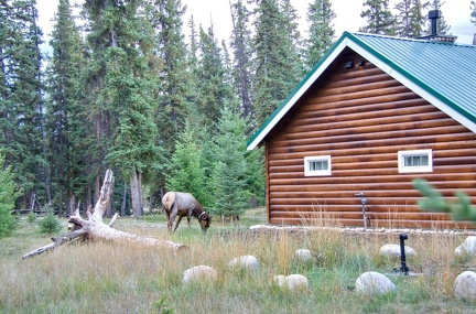 Canada 18 Pine Bungalows 03