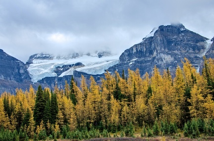 Canada 35 Larch valley 30