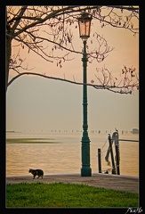 Burano 014