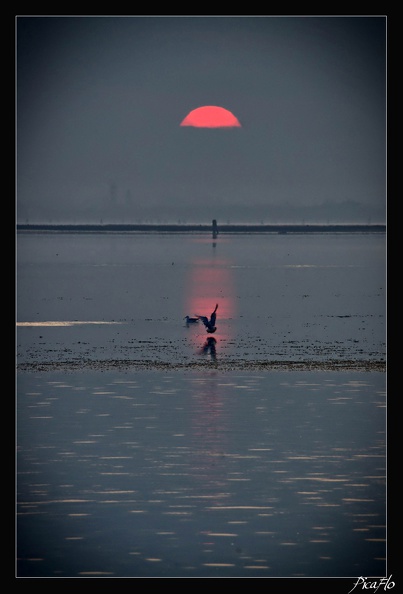 Burano_035.jpg