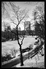 NYC 03 Central Park 02