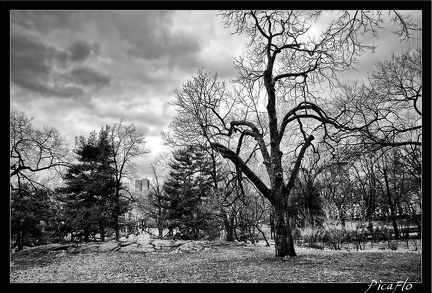 NYC 03 Central Park 07