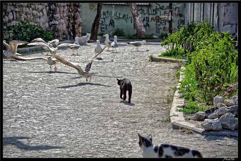 Istanbul_03_Sultanahmet_63.jpg