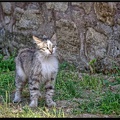 Istanbul 03 Sultanahmet 64