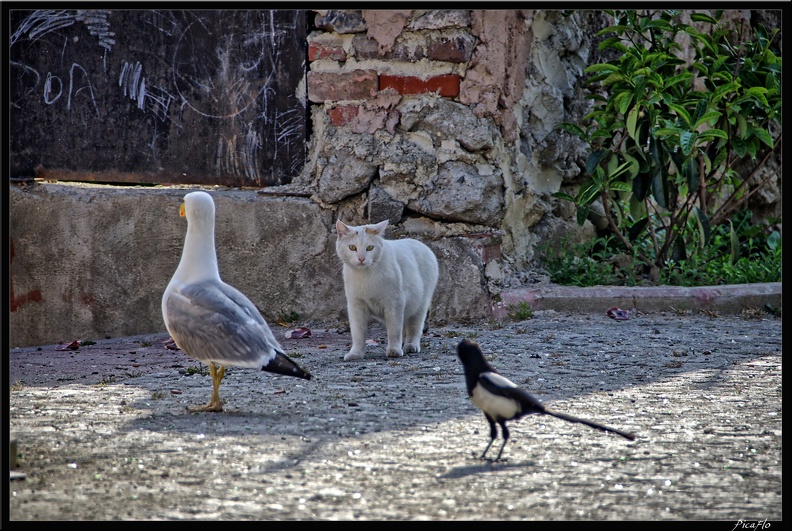 Istanbul_03_Sultanahmet_66.jpg