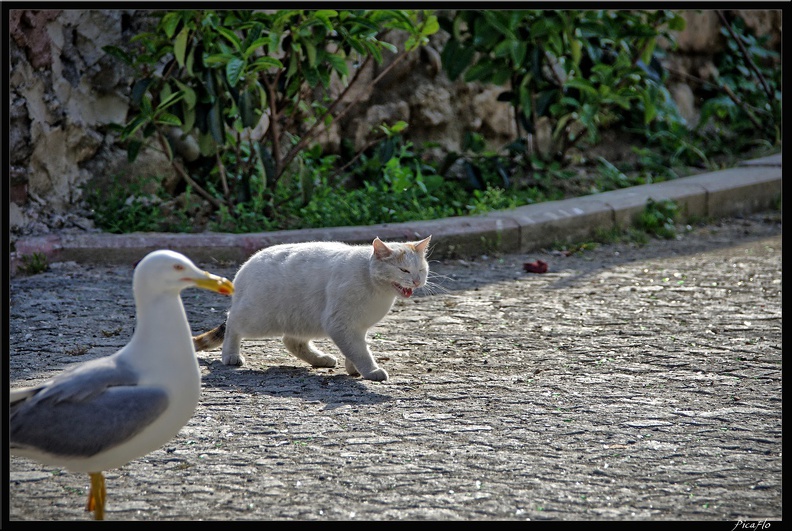 Istanbul_03_Sultanahmet_68.jpg