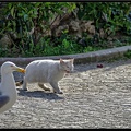 Istanbul 03 Sultanahmet 68