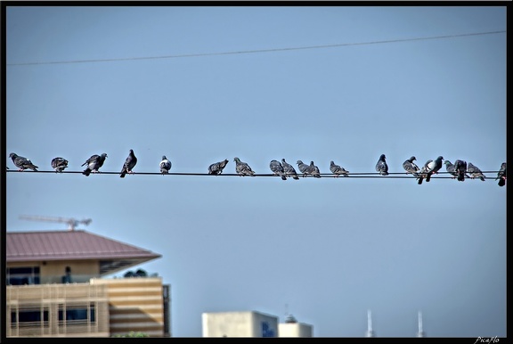 Istanbul 21 Istiklal Caddesi 10