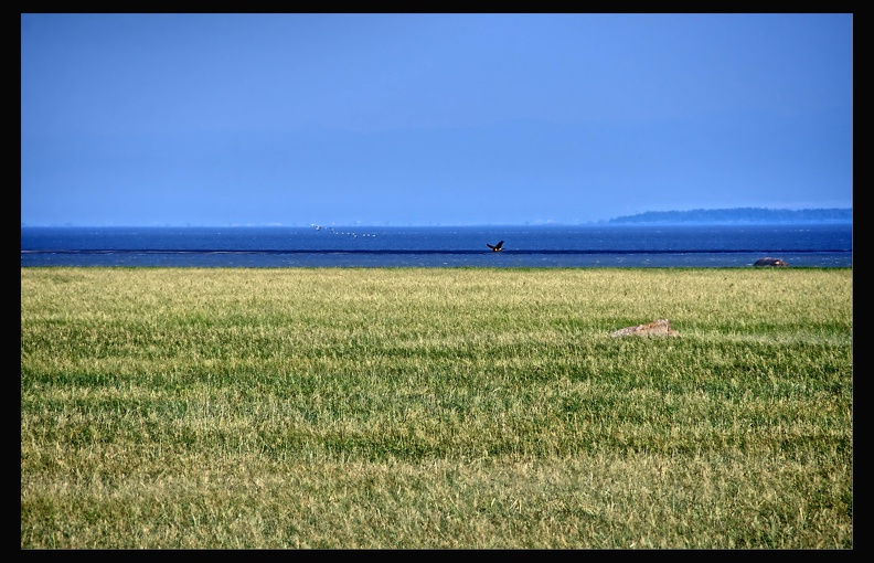 05_Reserve_Cap_Tourmente_029.jpg