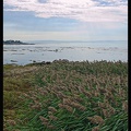 06 Ile aux Coudres 005