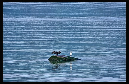 06 Ile aux Coudres 017