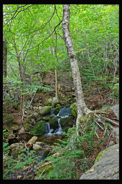 07 Parc Hautes Gorges 006