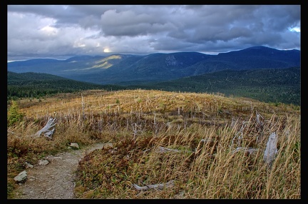 14 Parc National Gaspesie 043