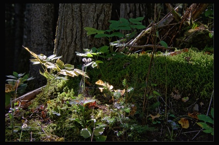 23 Parc du Bic 012