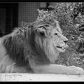 Zoo de Vincennes 022