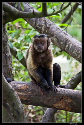 Zoo de Vincennes 115