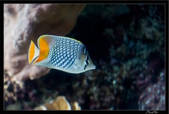 La Rochelle Aquarium 121