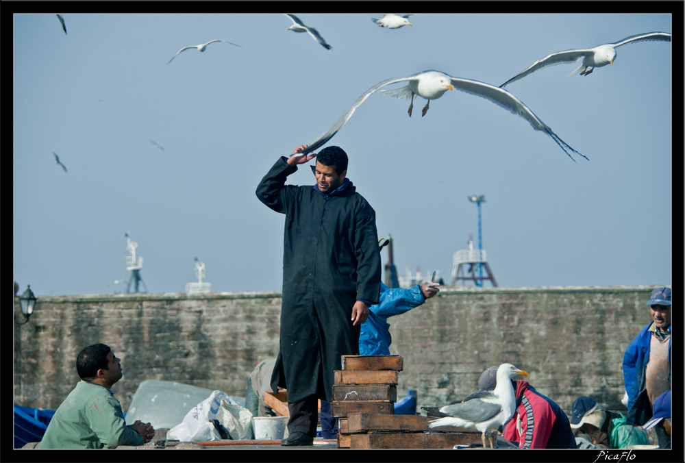 Essaouira 044