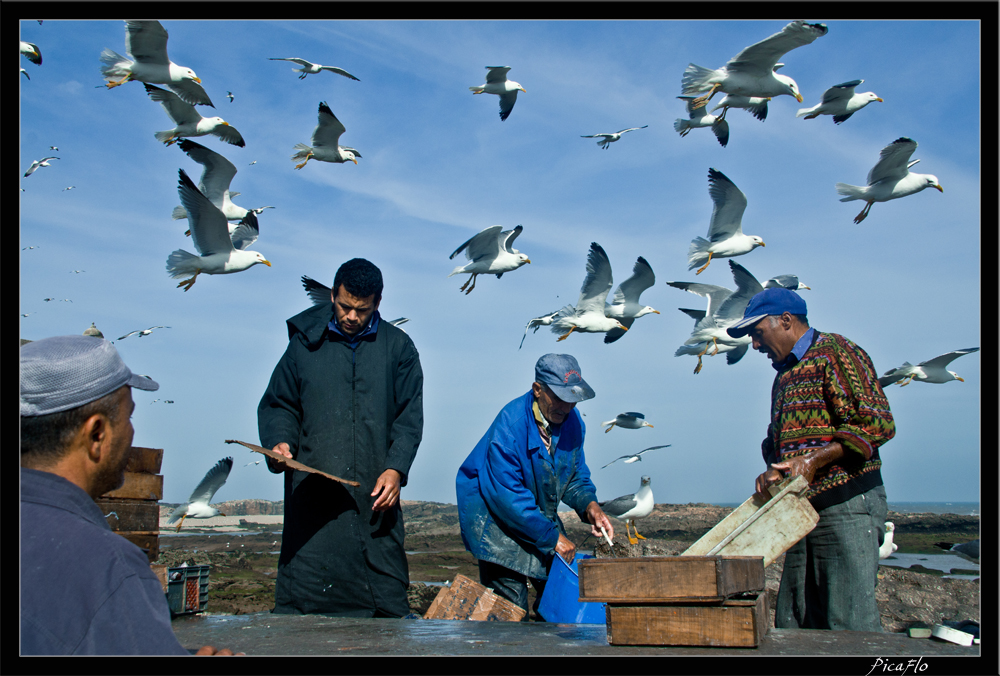 Essaouira 055