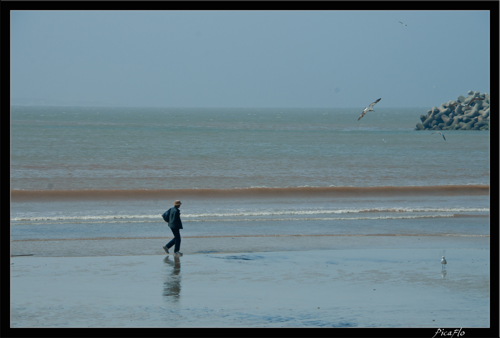 Essaouira 106