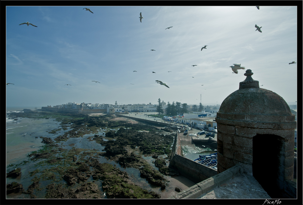 Essaouira 184