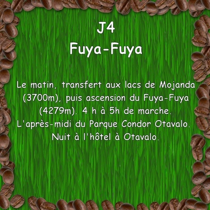 EQUATEUR 04 FUYA-FUYA 00