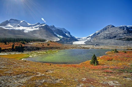 Canada 23 Glacier Athabasca 12