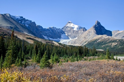 Canada 24 Parker Ridge trail 01