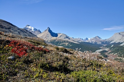 Canada 24 Parker Ridge trail 05